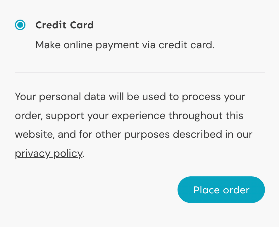 Screenshot of credit card checkout